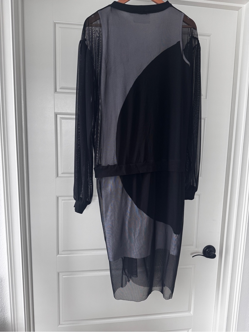 Sheer Black Long-Sleeve Mesh Dress